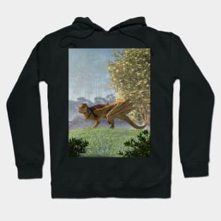 The Shorrak Hoodie